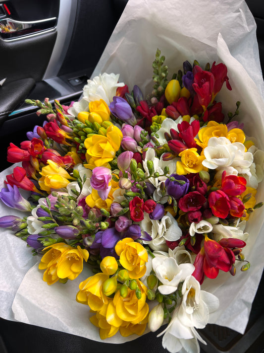 Freesia Carnival