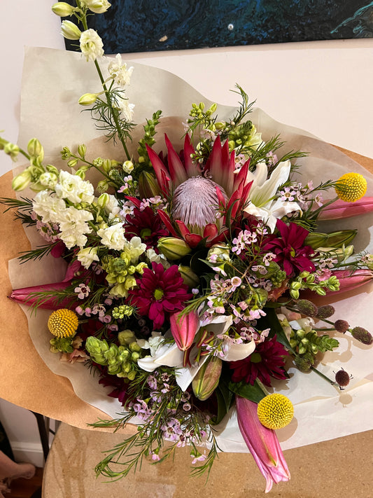 Protea Regal